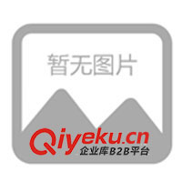 供應礦山設備、提升機、斗式提升機(圖)